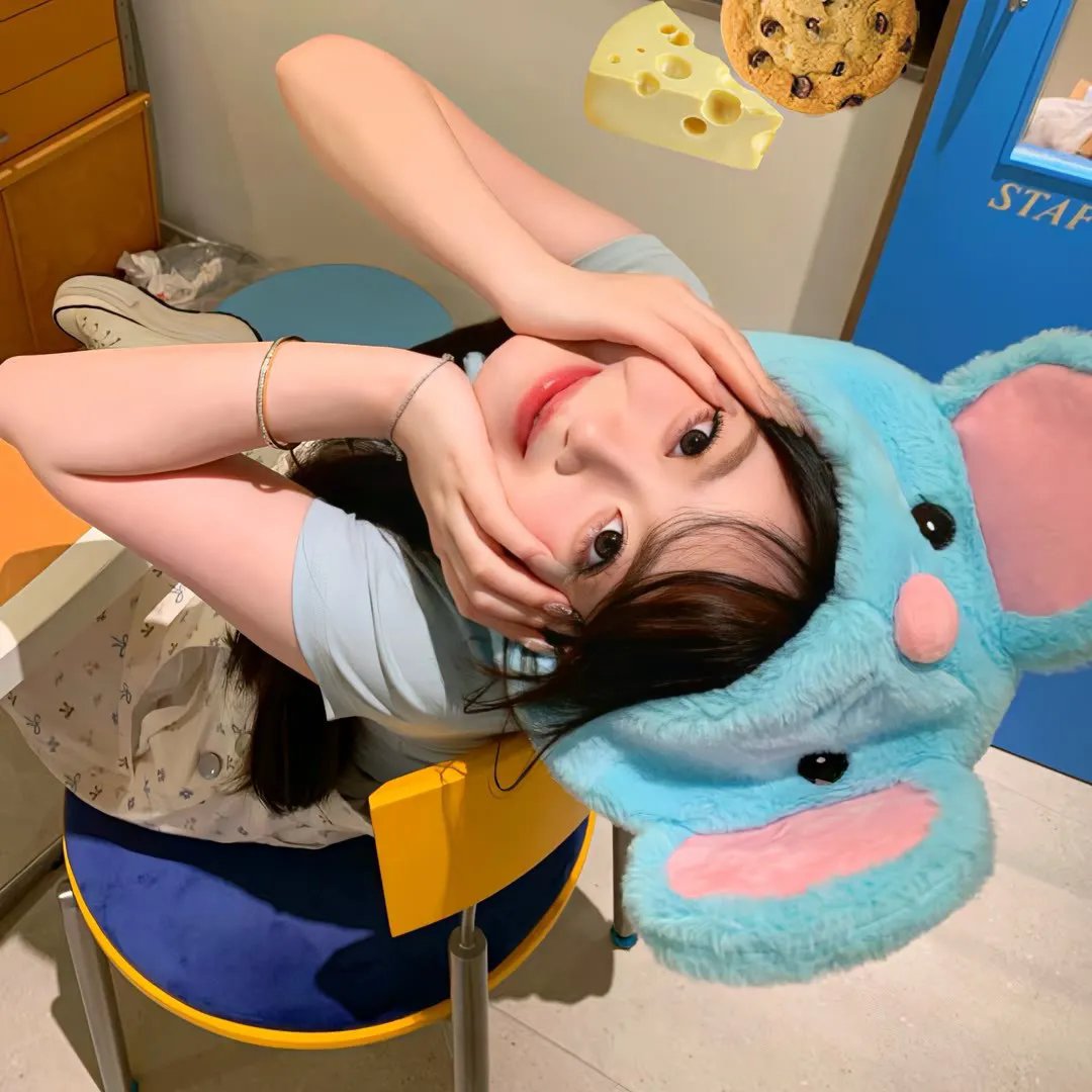 同路孖宝